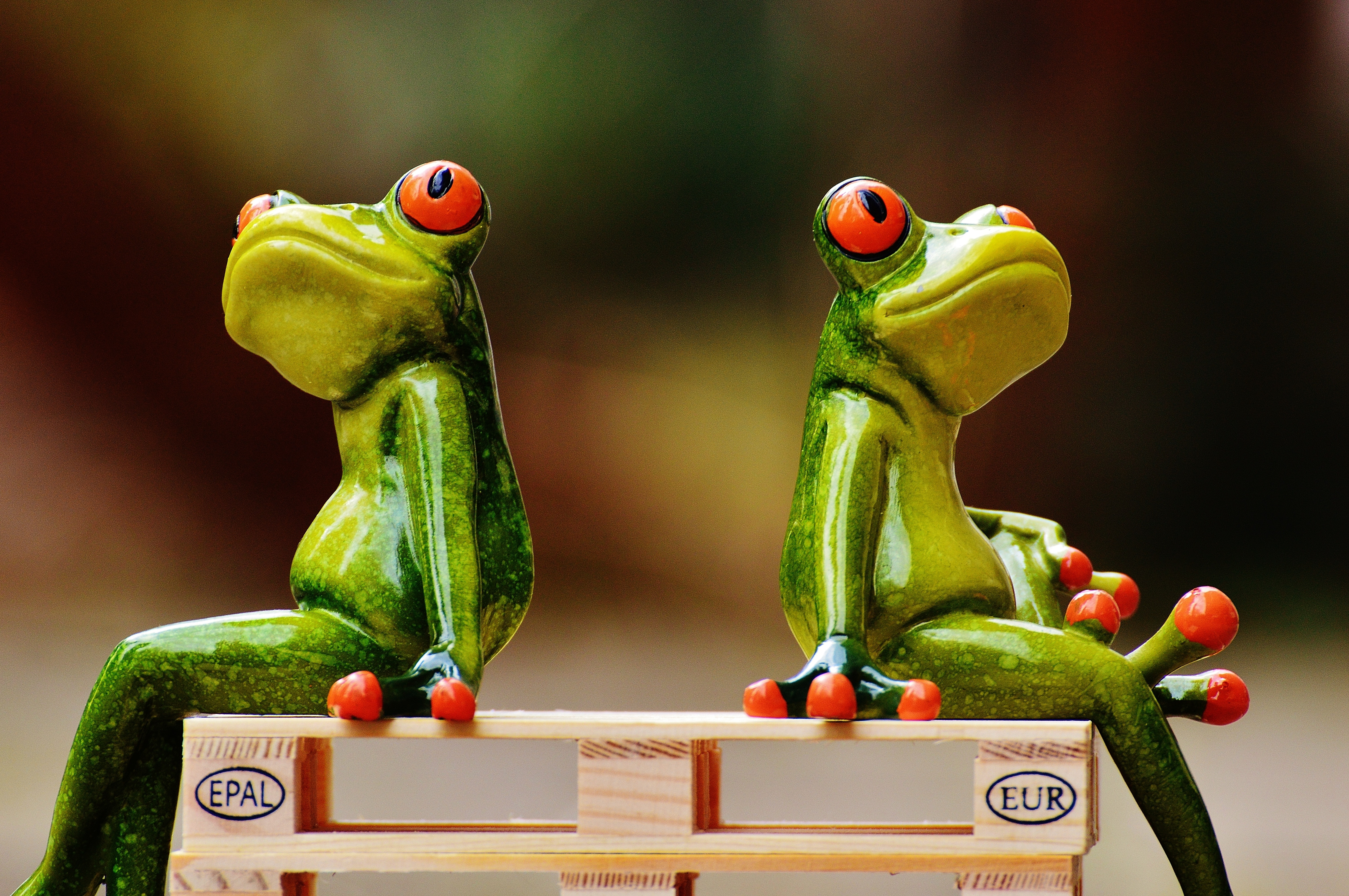 Friends, Sit, Pallets, Frogs, vegetable, healthy eating