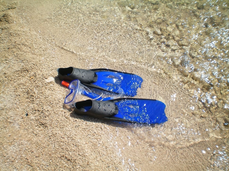 black and blue diving flipppers preview