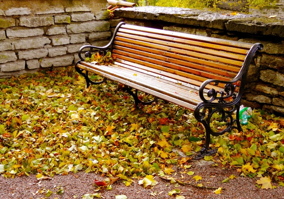 black metal frame brown wooden bench on dried leaves preview