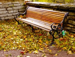black metal frame brown wooden bench on dried leaves thumbnail