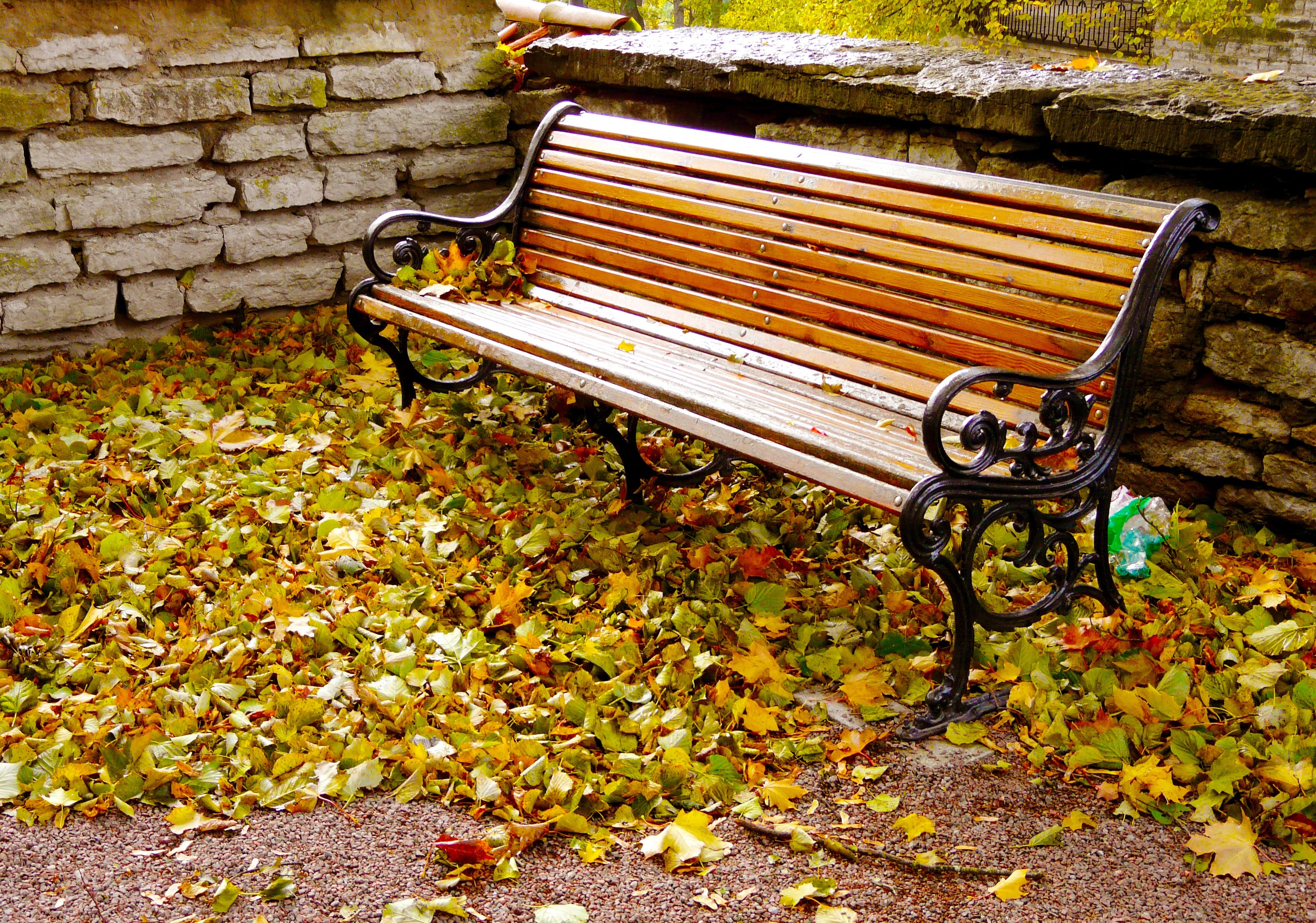 black metal frame brown wooden bench on dried leaves