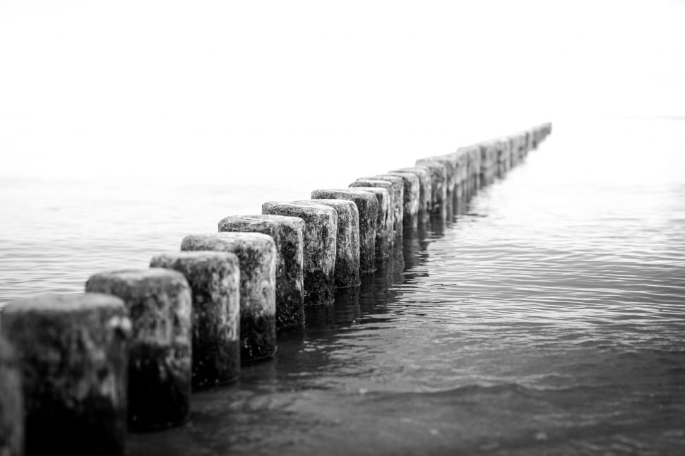 greyscale photo of dock posts preview