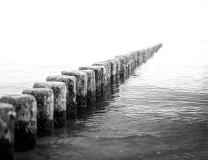 greyscale photo of dock posts thumbnail
