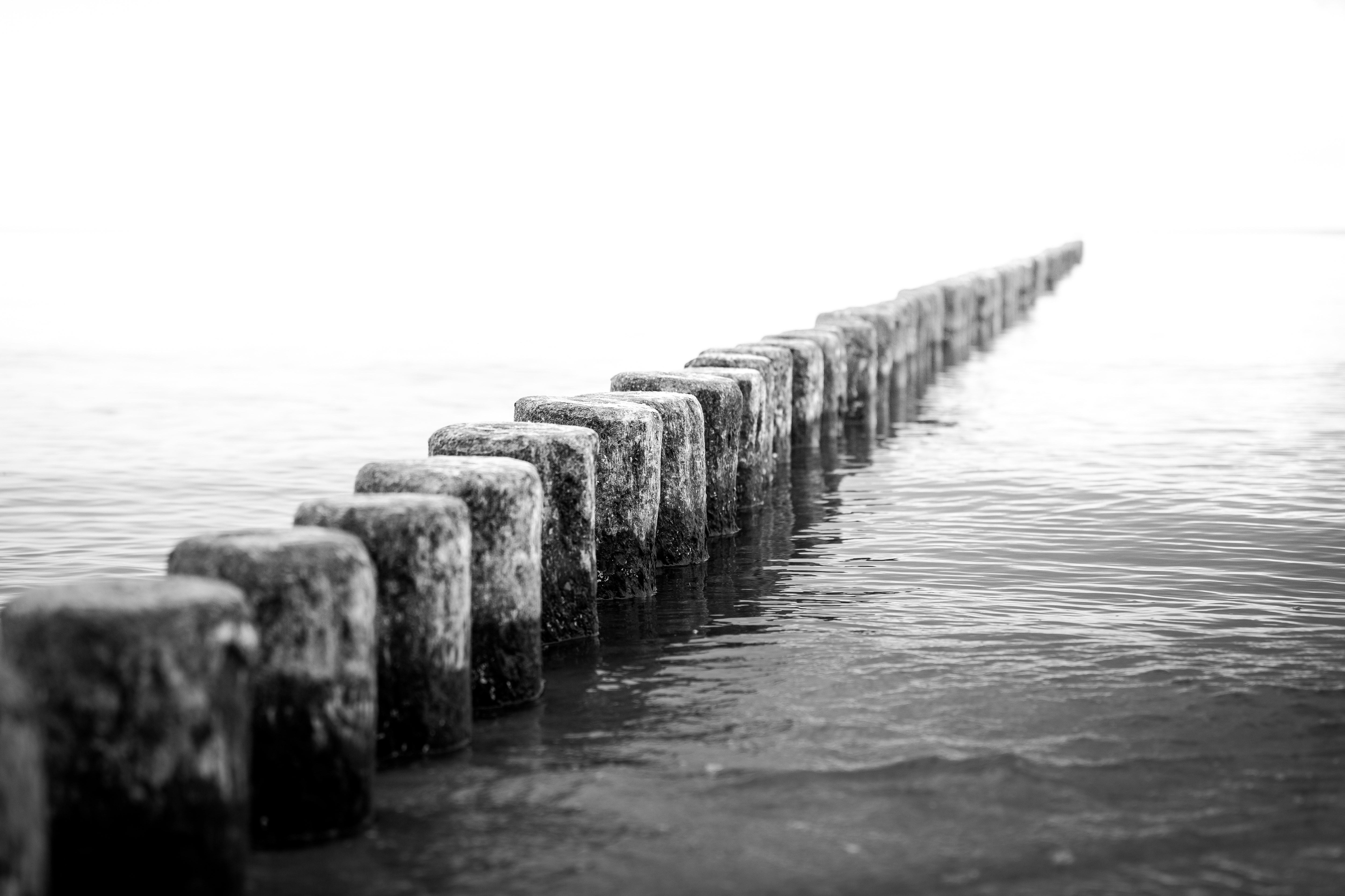 greyscale photo of dock posts