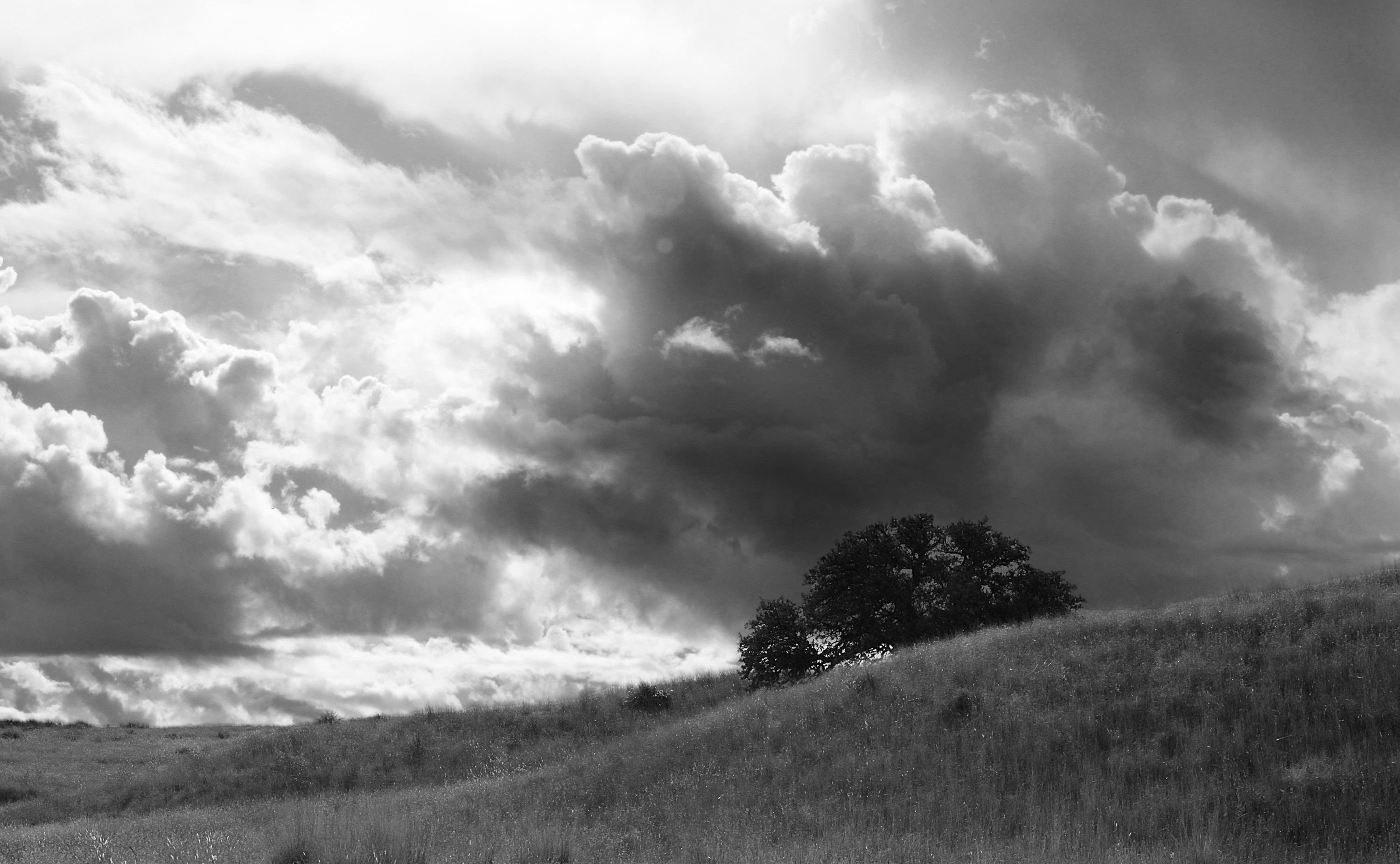 grey scale photo of plains