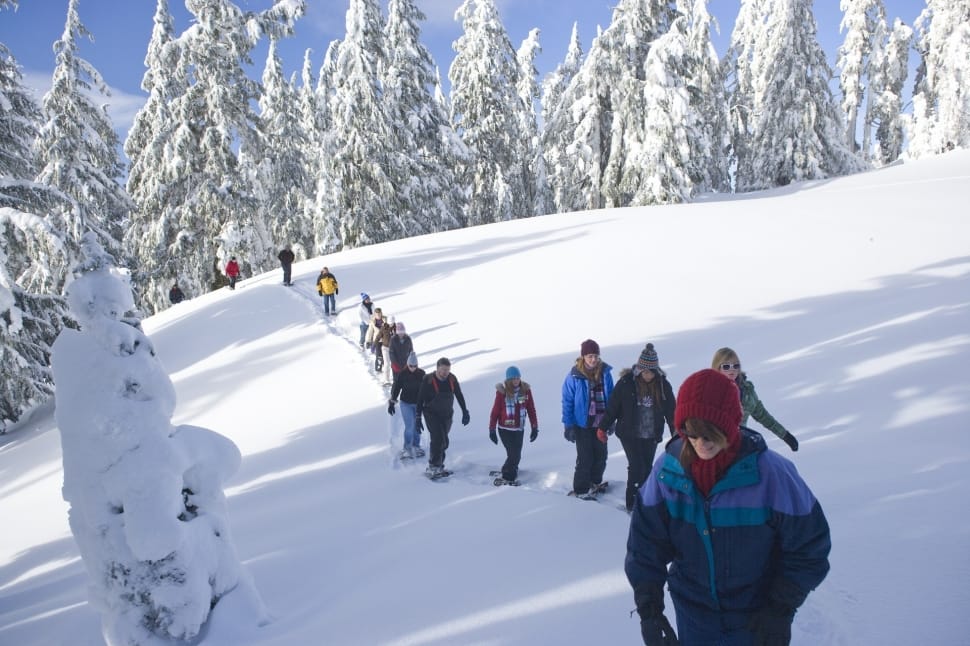 Winter, Snowshoe Walk, Tourists, Snow, winter, snow preview