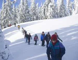 Winter, Snowshoe Walk, Tourists, Snow, winter, snow thumbnail