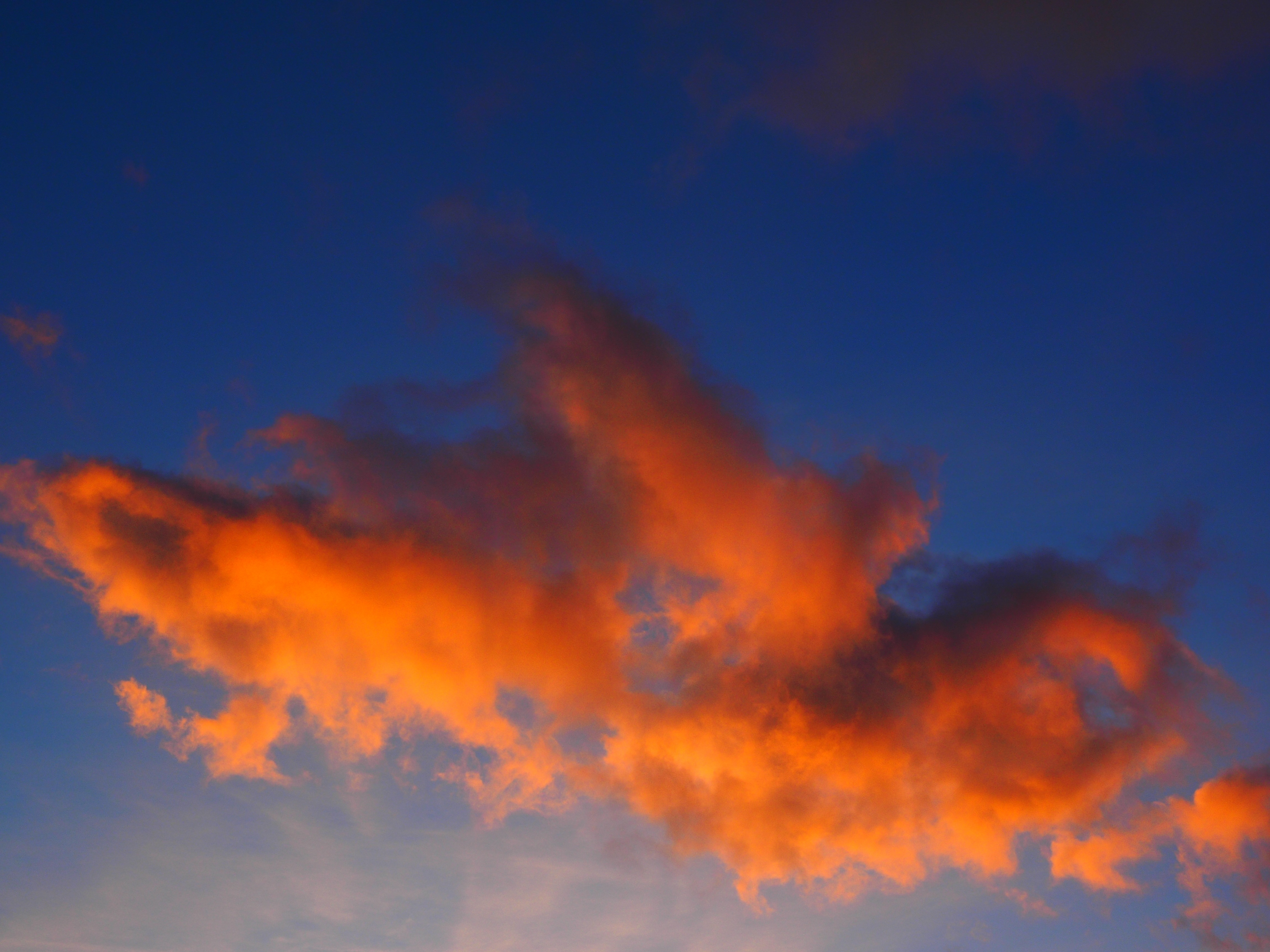 orange cloud during sunset