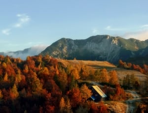 maple trees house and mountains thumbnail