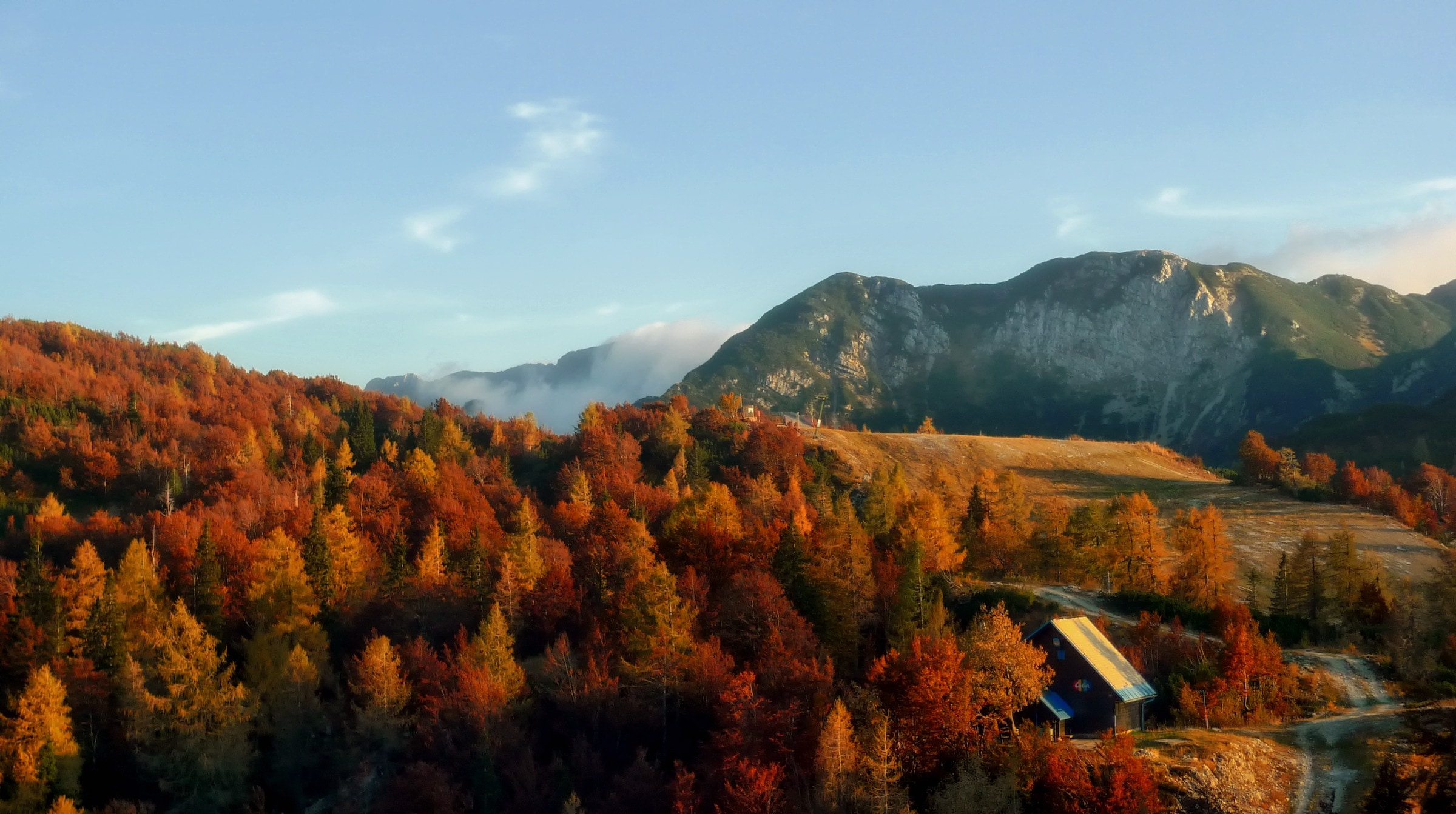 maple trees house and mountains