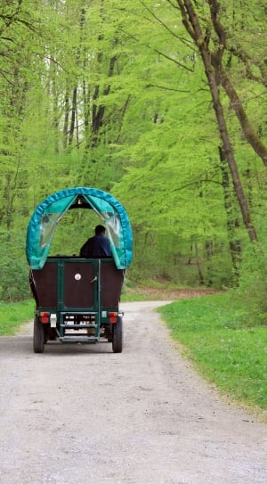 person riding brown, green and gray auto rickshaw on forest trails thumbnail