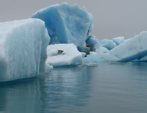 ice berg in the middle of body of water thumbnail