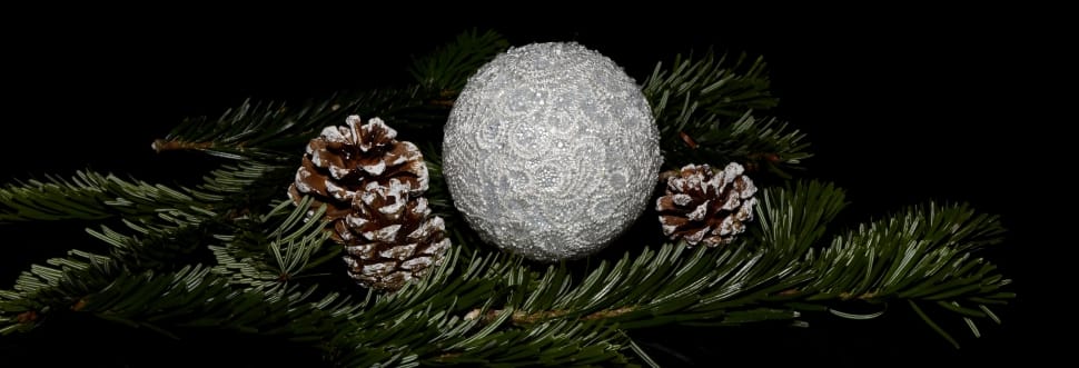 white bauble and 2 brown pine cones preview