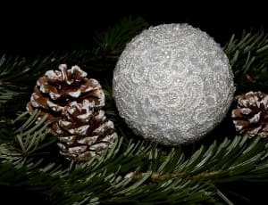 white bauble and 2 brown pine cones thumbnail