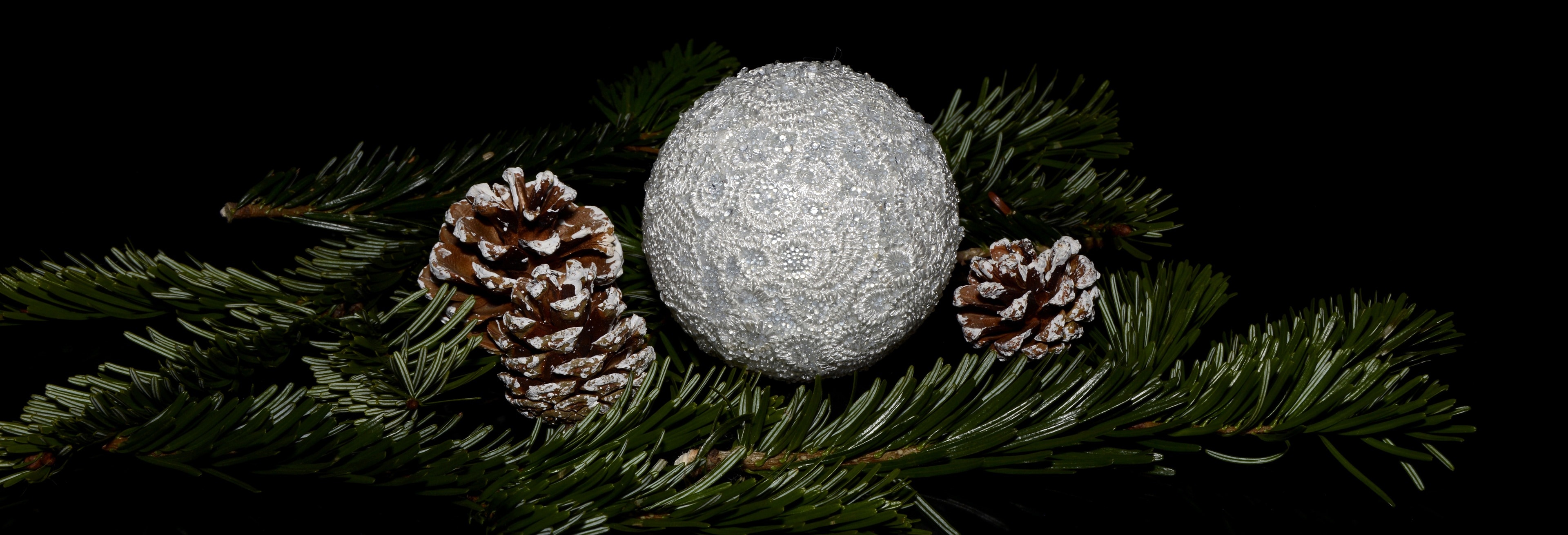 white bauble and 2 brown pine cones