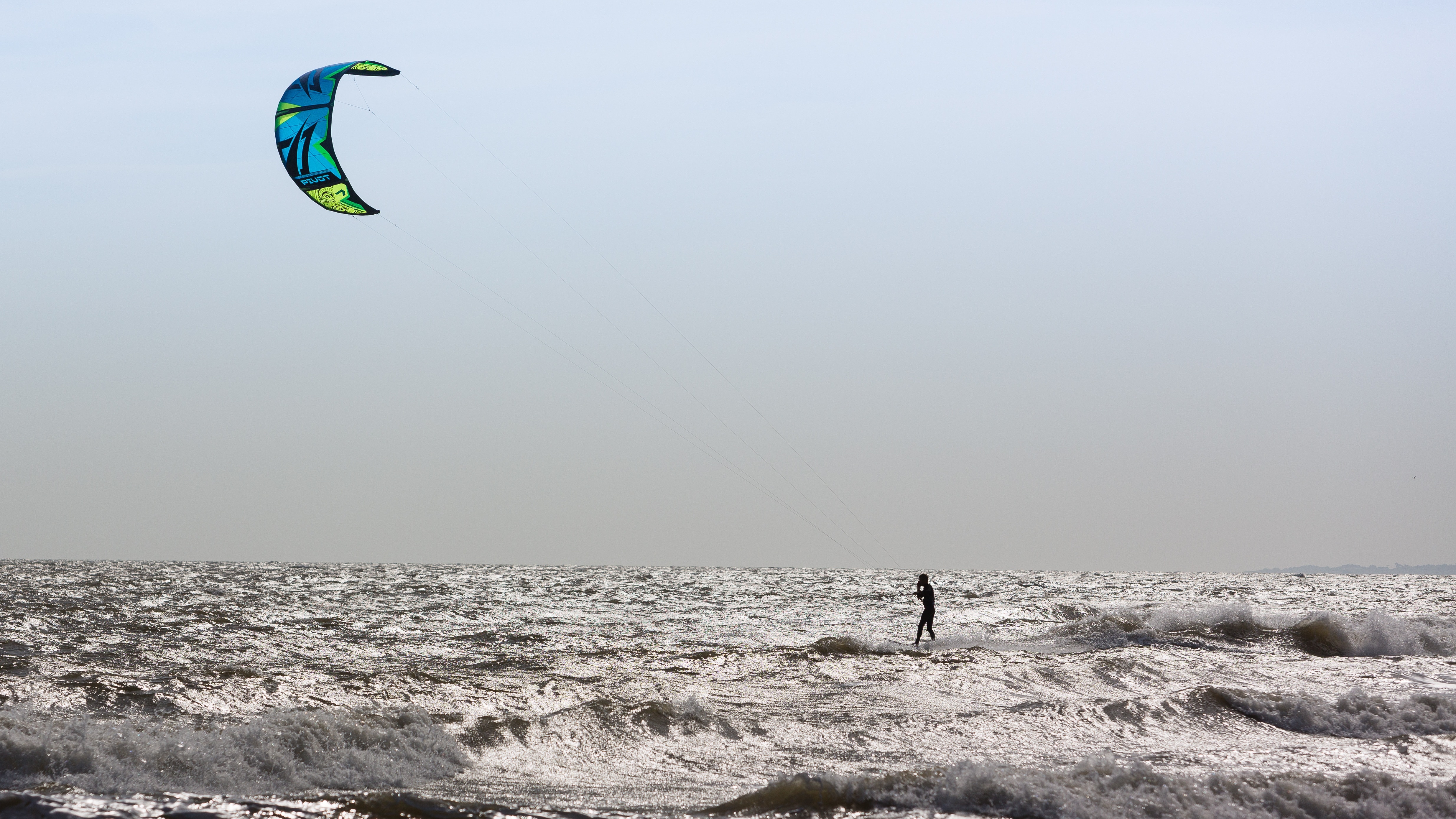 blue green and black kite