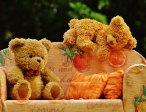 two brown bear plush toys on padded armchair thumbnail