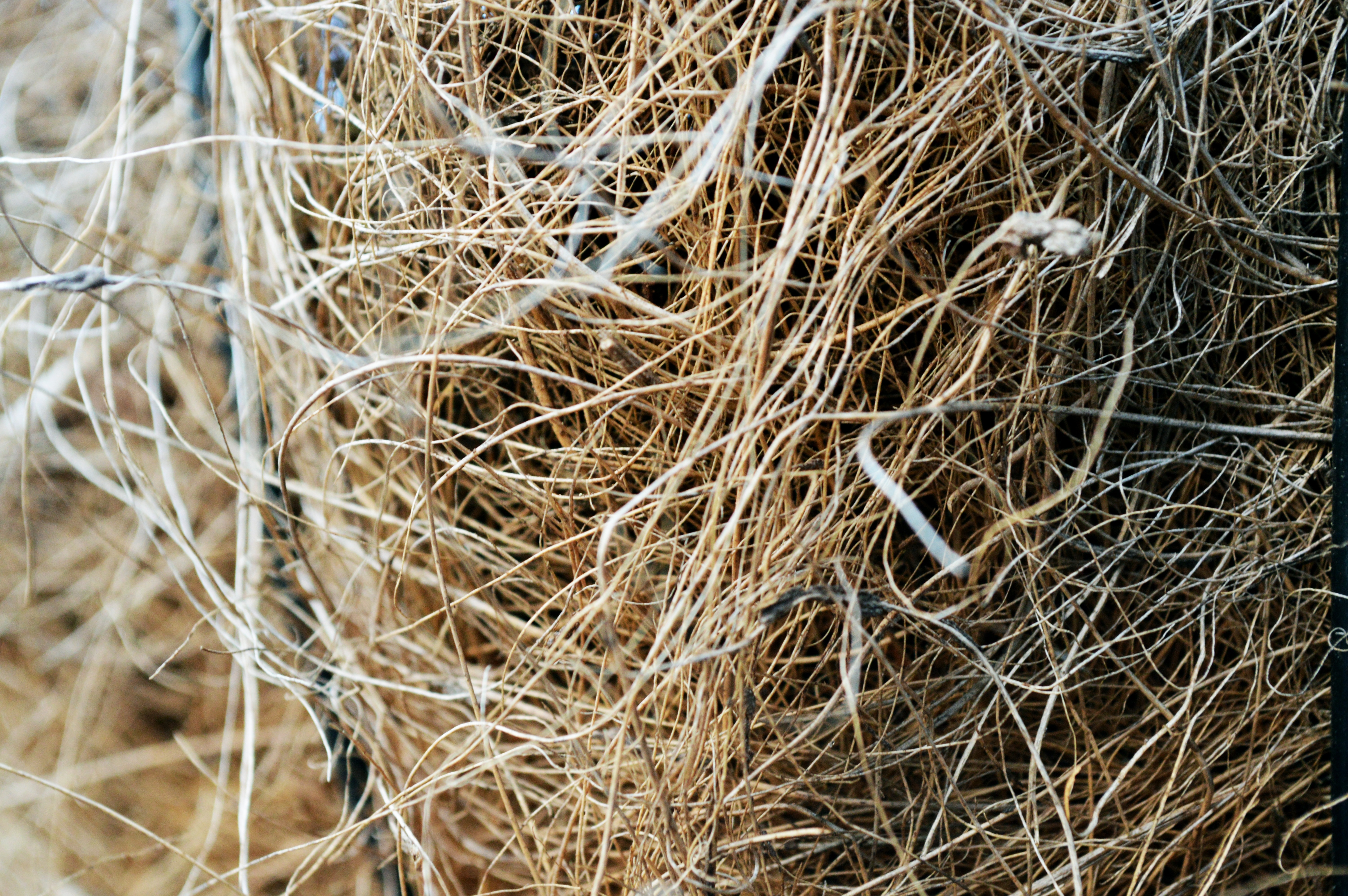 brown hay stack