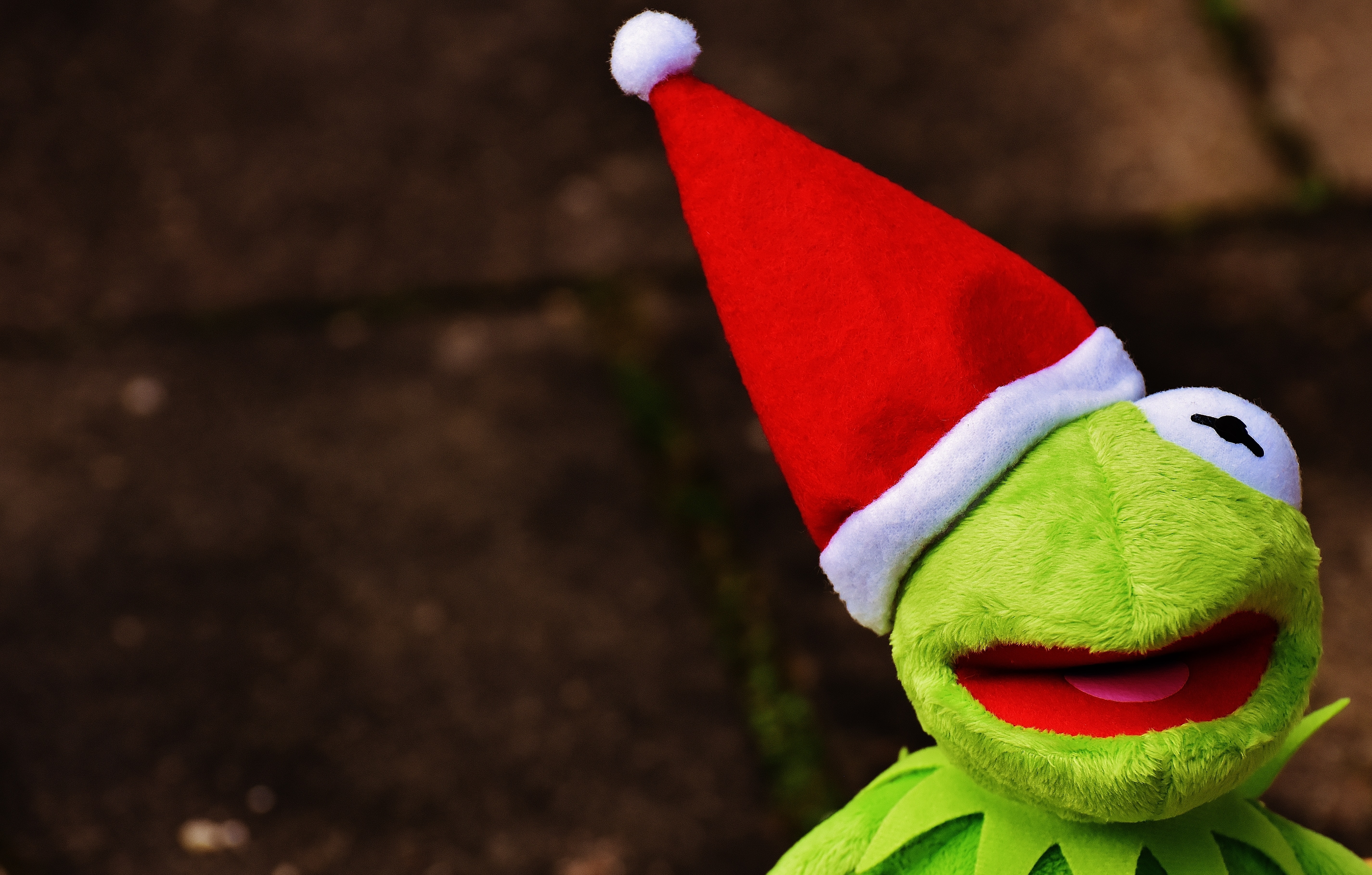 frog wearing santa hat plush toy