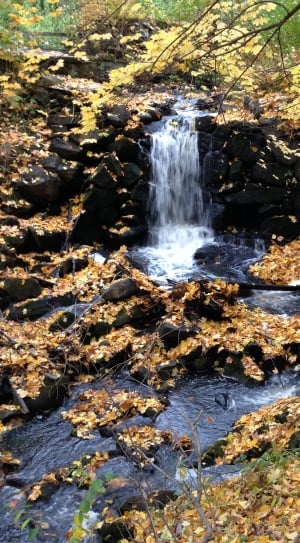 Water, Forest, Autumn, Waterfall, nature, motion thumbnail