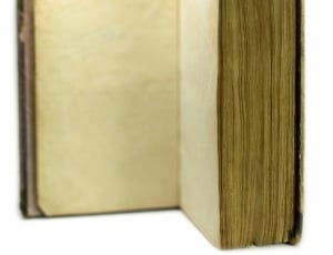 yellow parchment book thumbnail