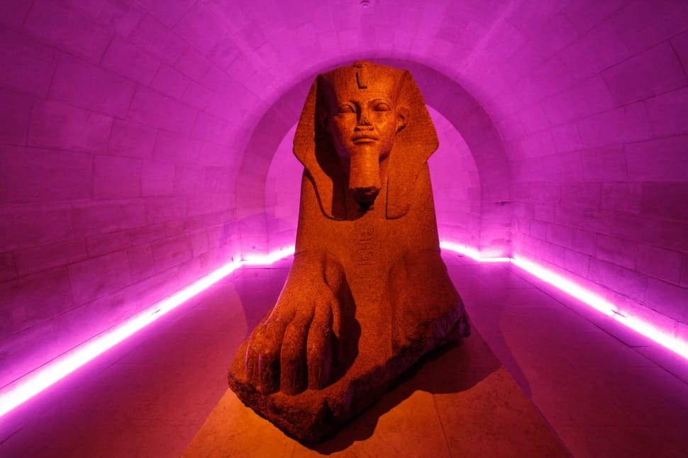 sphinx in pink lighted tunnel preview