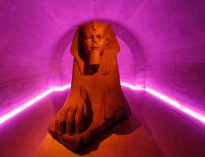 sphinx in pink lighted tunnel thumbnail
