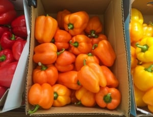 orange yellow and red belt peppers thumbnail
