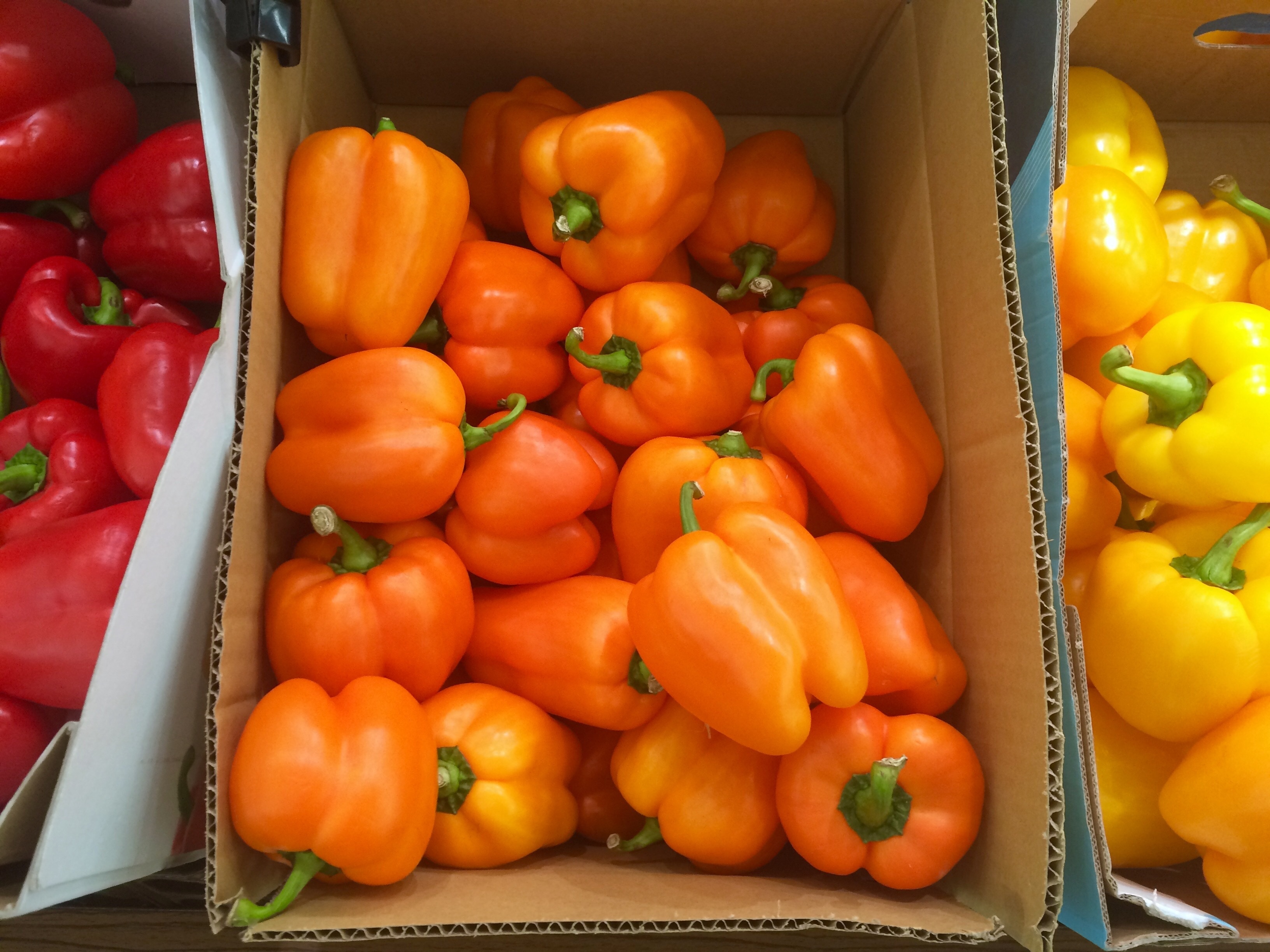 orange yellow and red belt peppers