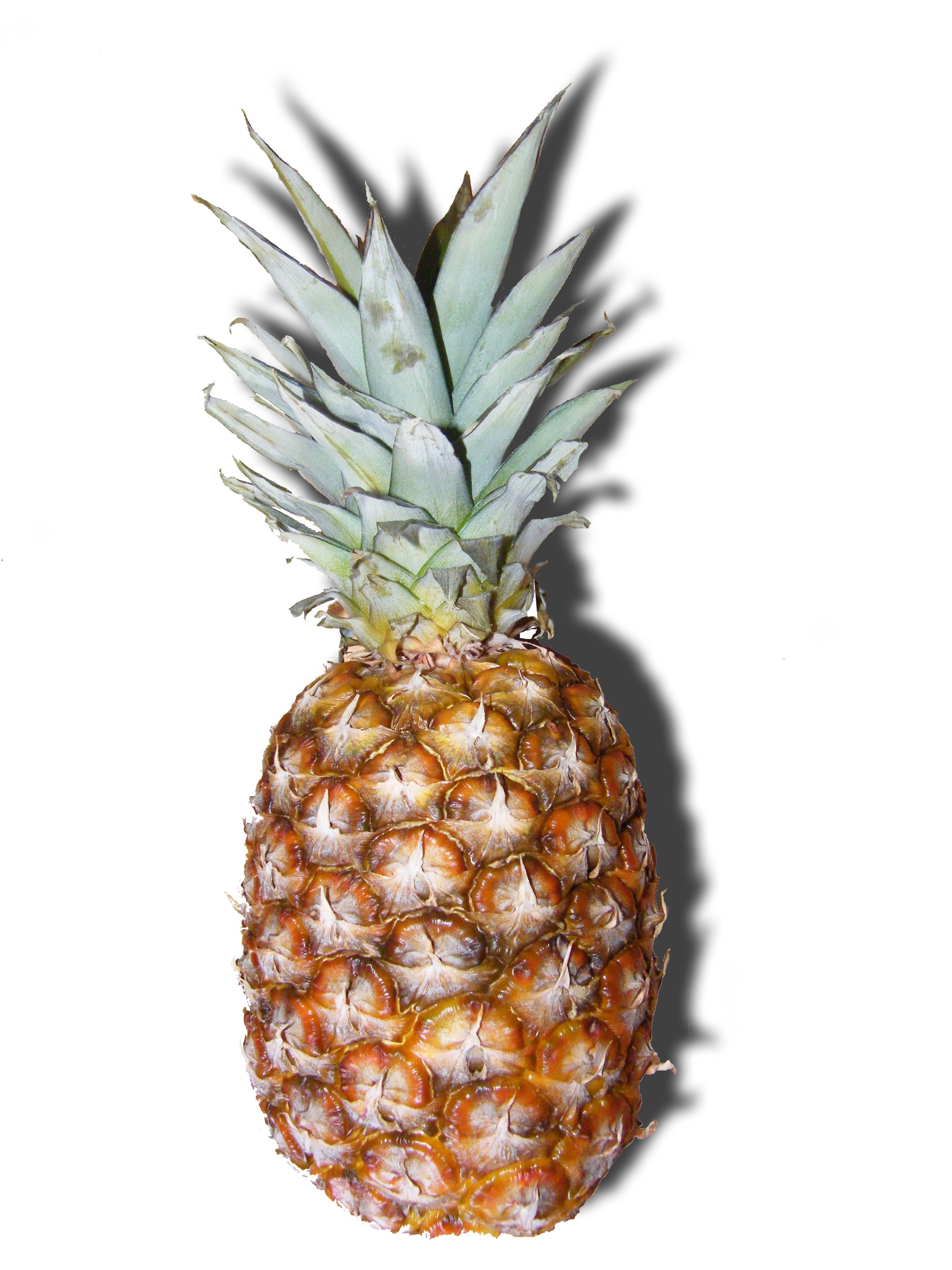 Pineapple, Isolated, Tropical, Fruits, pineapple, food