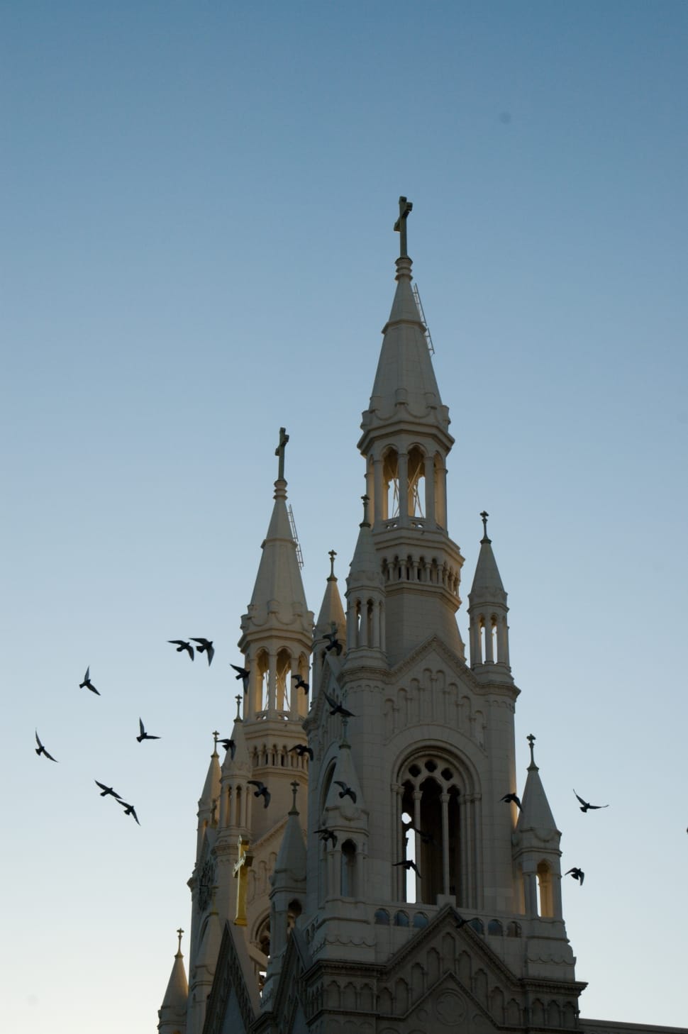 church and birds preview