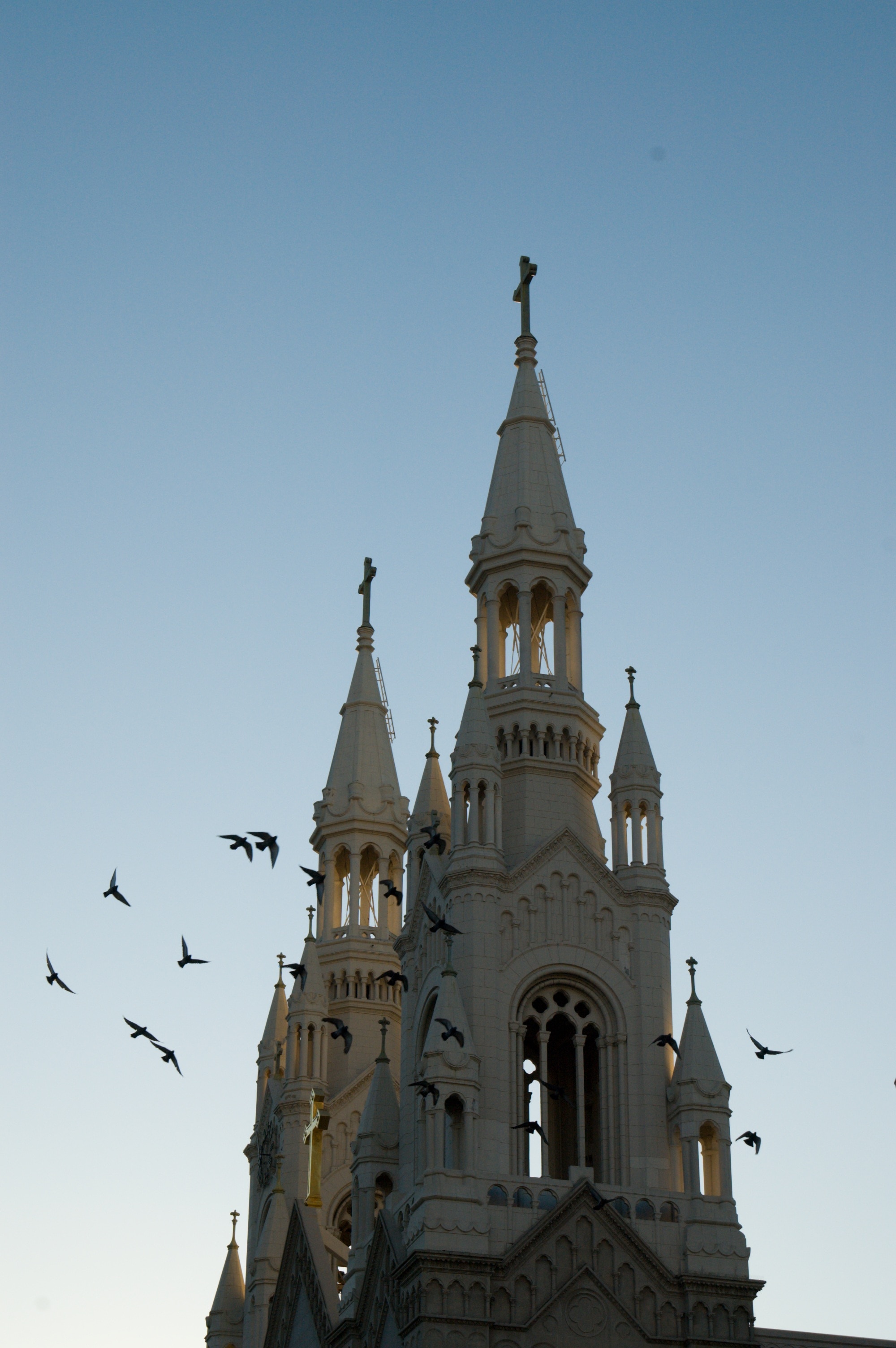 church and birds