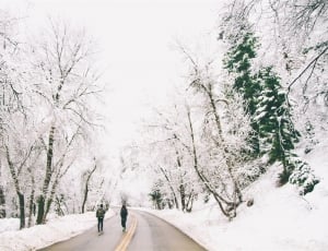 man and woman near brown concrete road between snow covered field and tress photo thumbnail