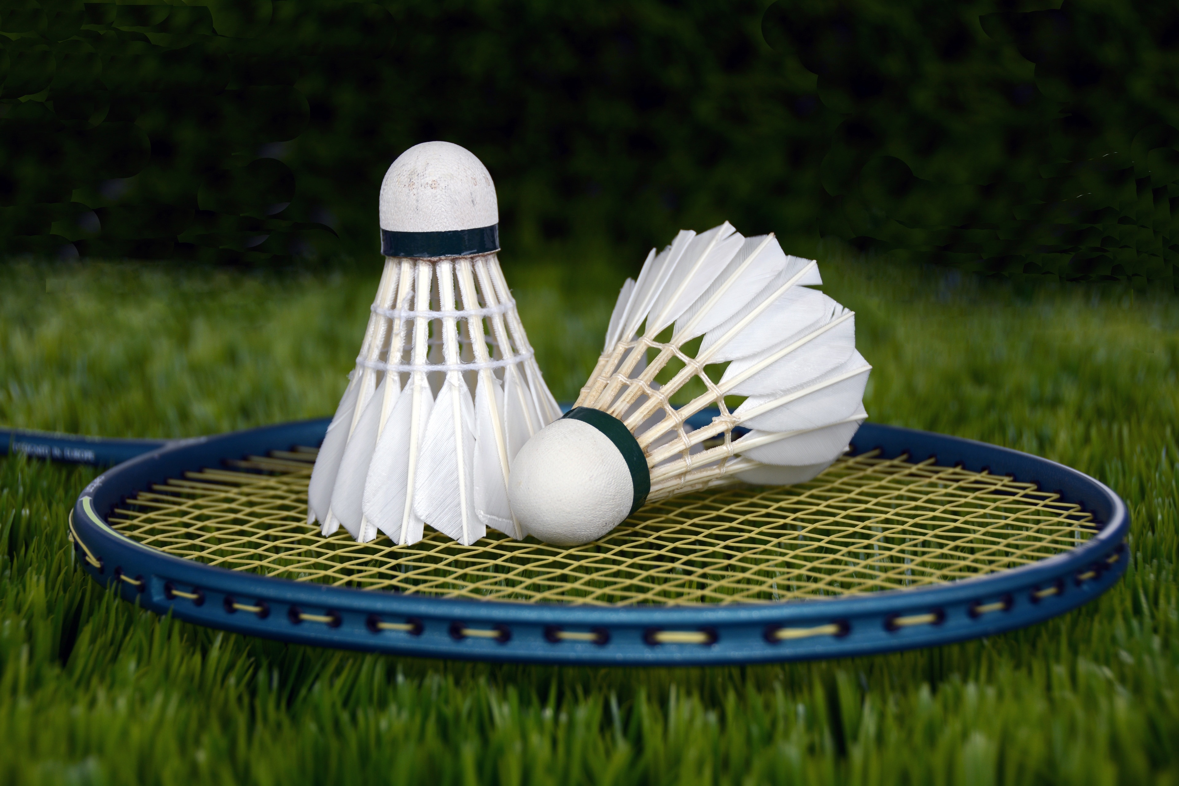 two white badminton ball on blue tennis racket
