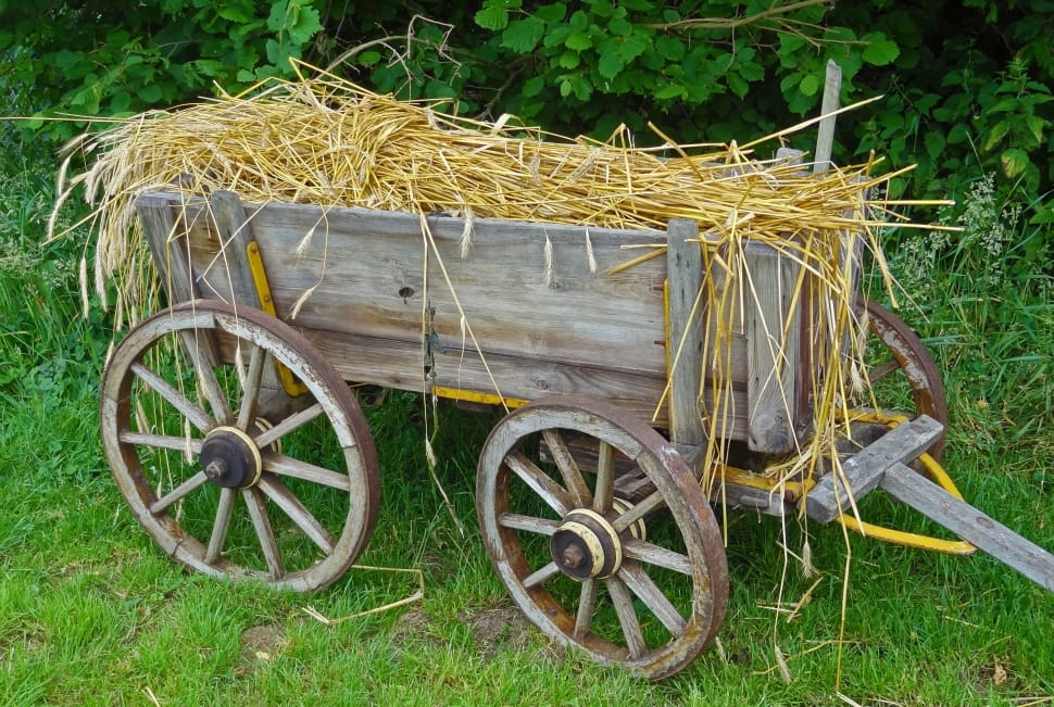 brown wooden trolley and hay preview