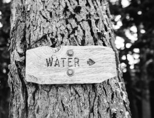 grayscale photo of wooden water signage thumbnail