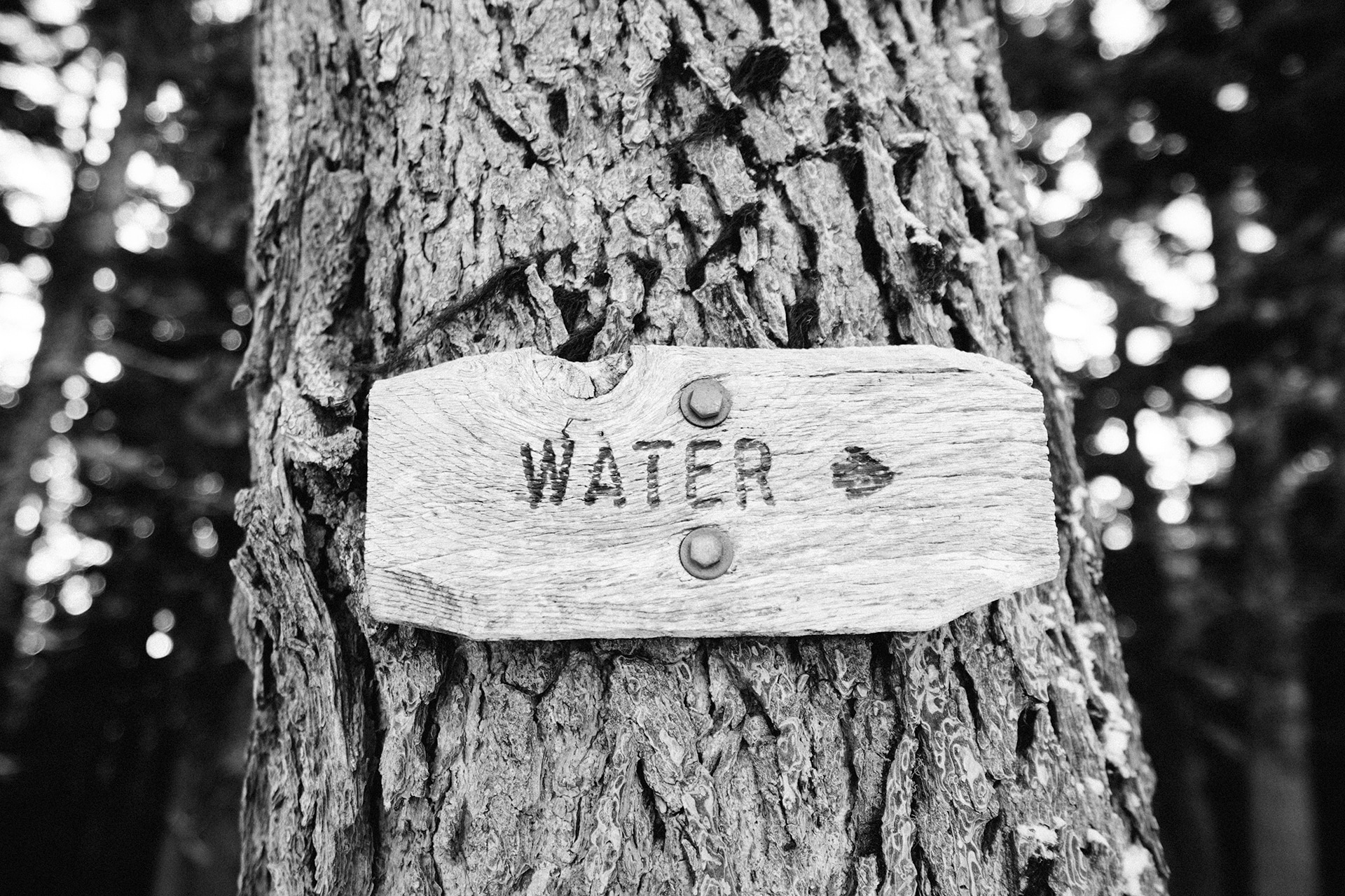 grayscale photo of wooden water signage