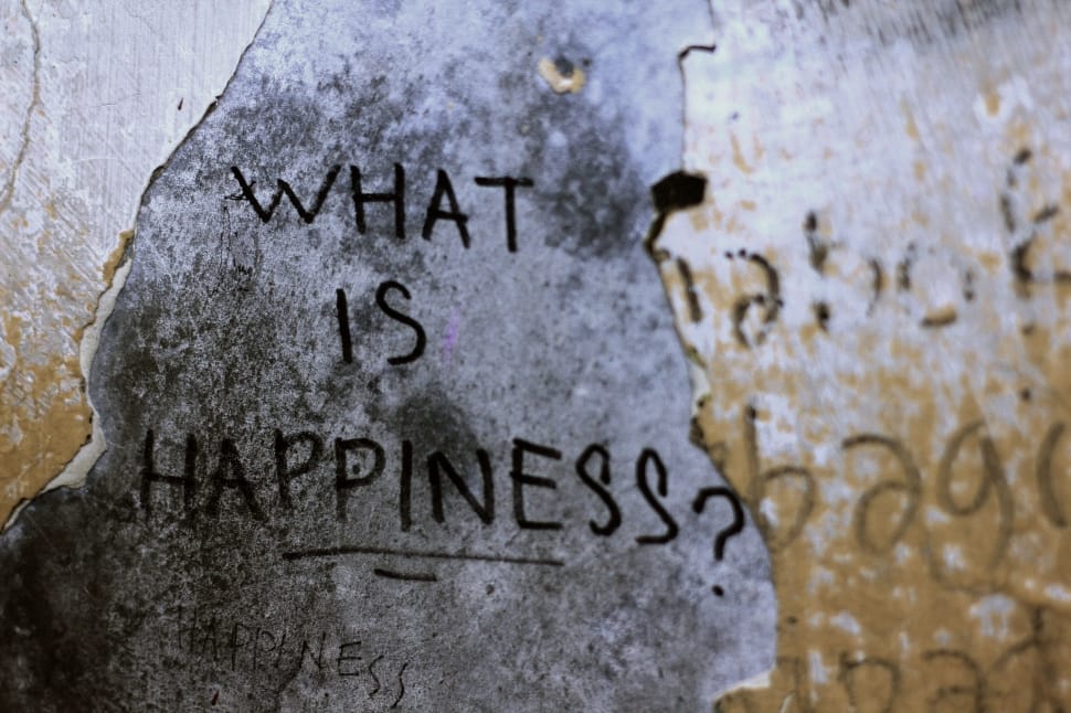 what is happiness? text preview