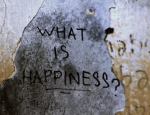 what is happiness? text thumbnail