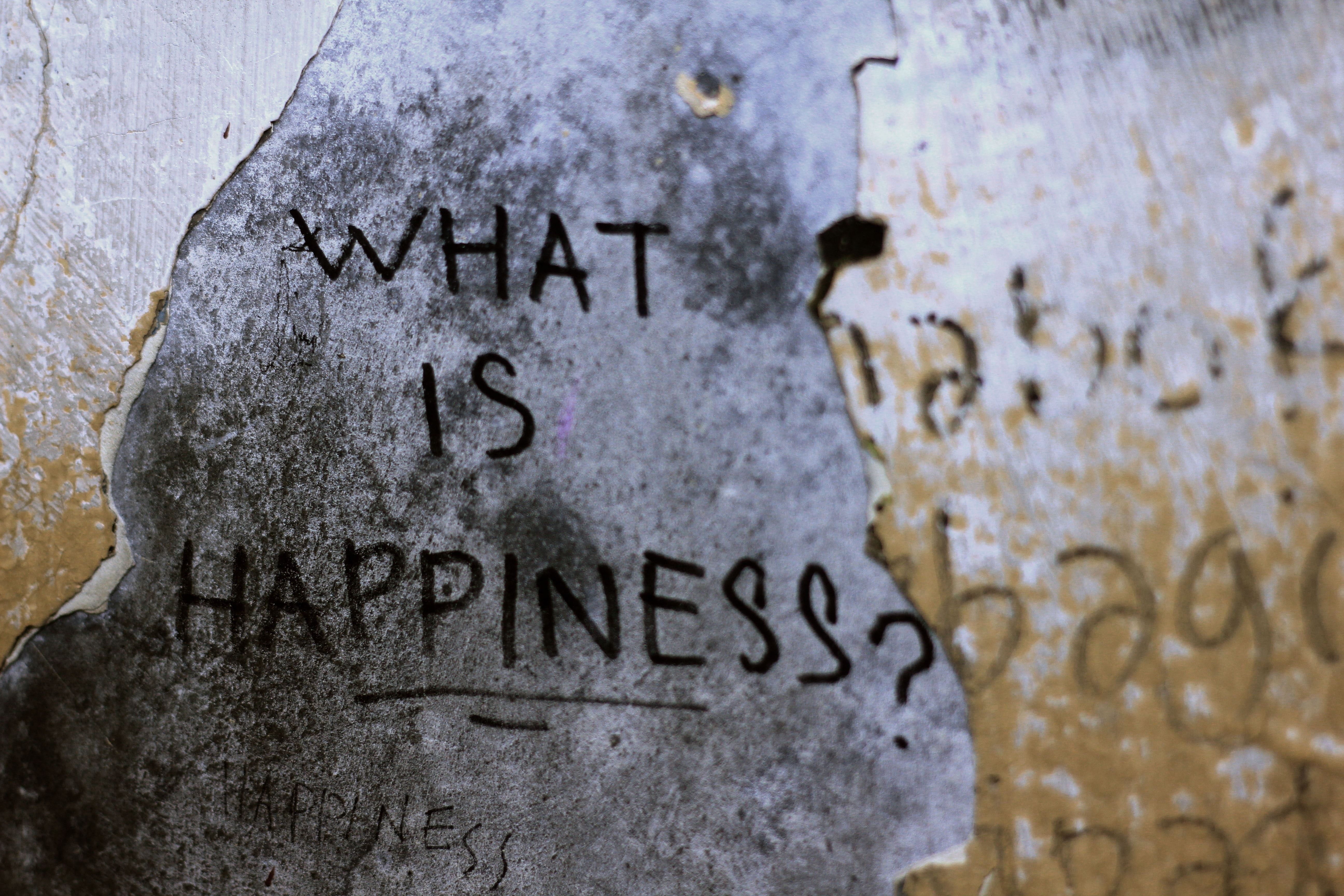 what is happiness? text