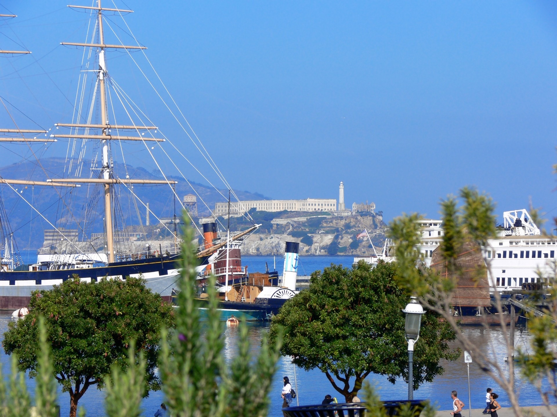 Bay, Ship, Alcatraz, San Francisco, nautical vessel, tree