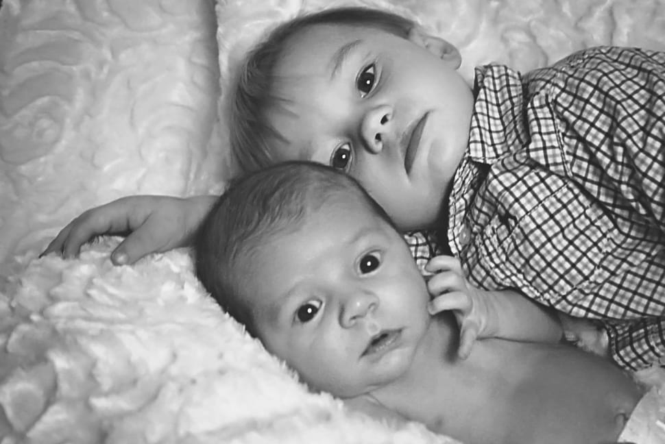 Brothers, Family, Portrait, Boys, Young, baby, childhood preview