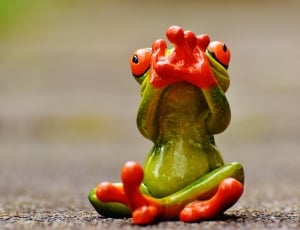 Fig, Do Not Speak, Funny, Frog, Cute, vegetable, food and drink thumbnail