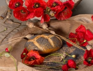 bread and red flowers thumbnail