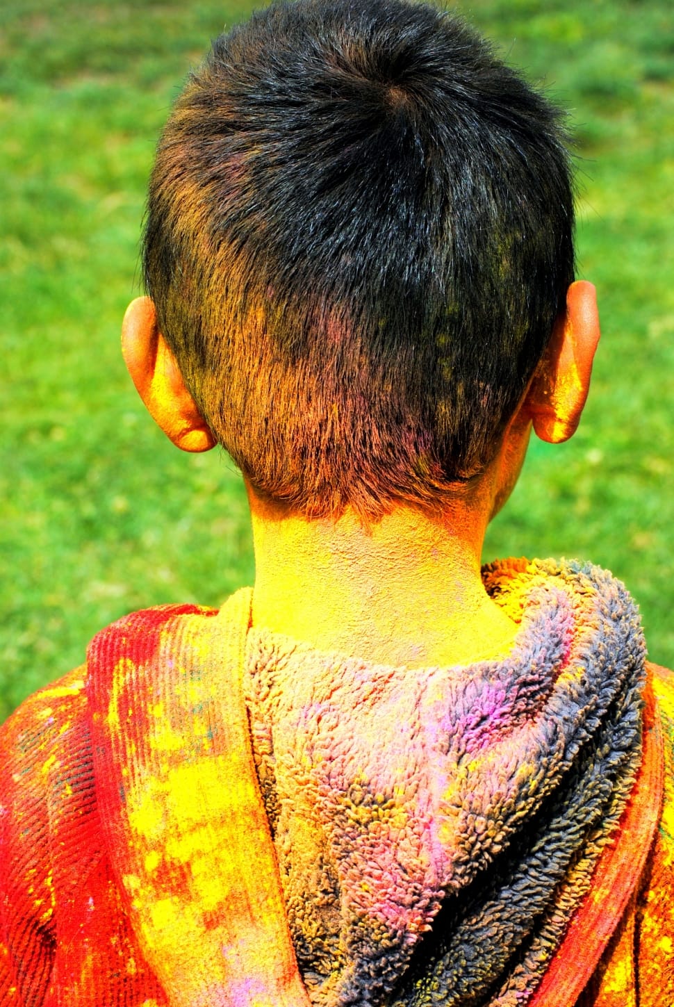 Traditional, Festival, Holi, Indian, rear view, one person preview