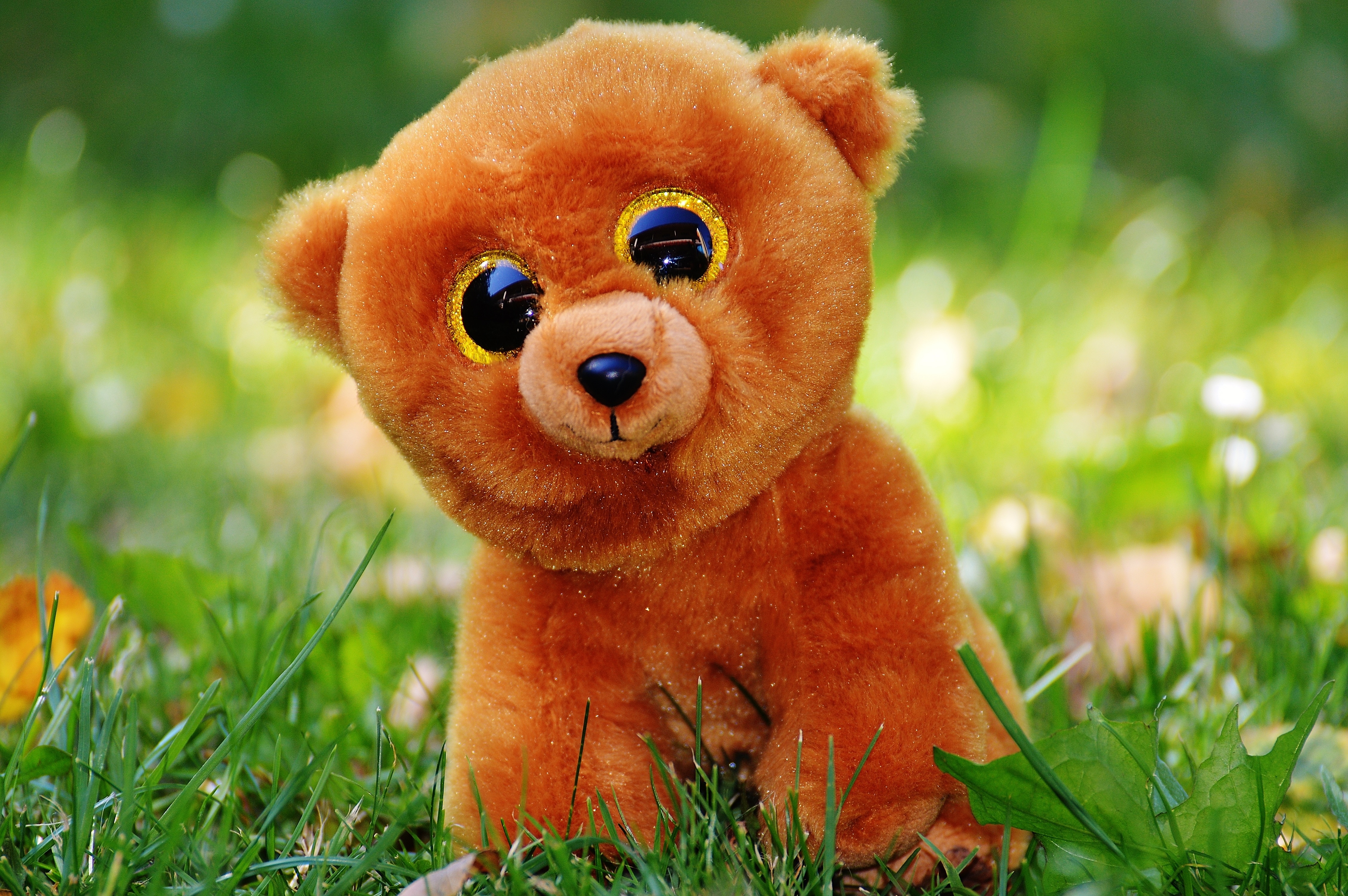 brown bear plush toy