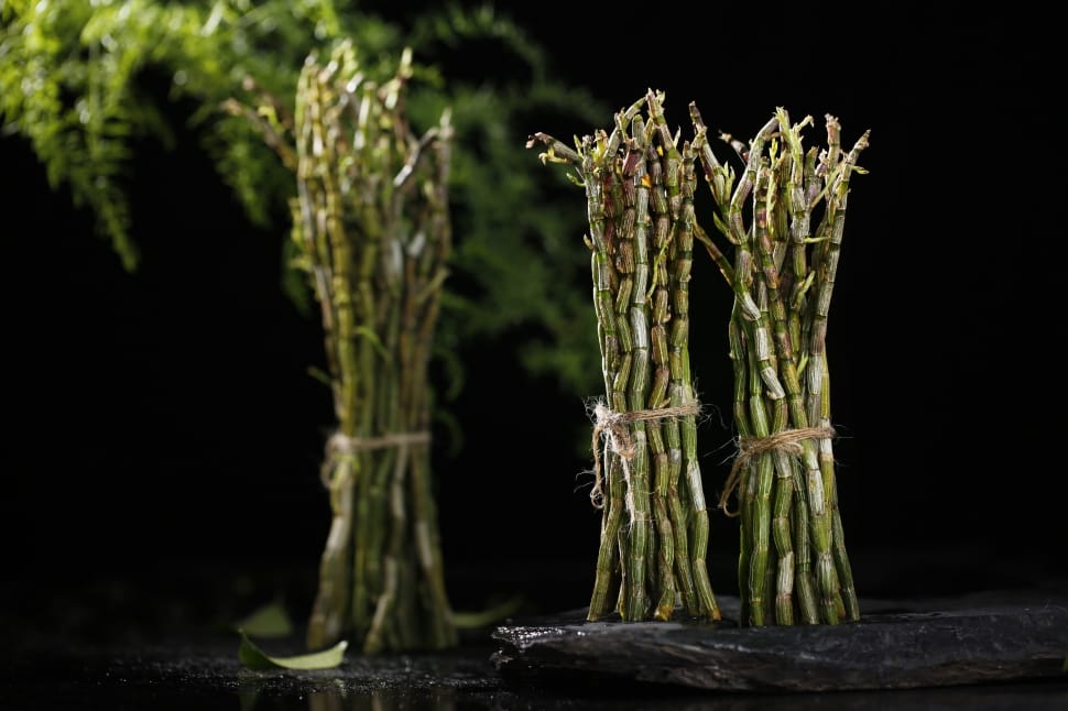 three bundles of green asparagus preview