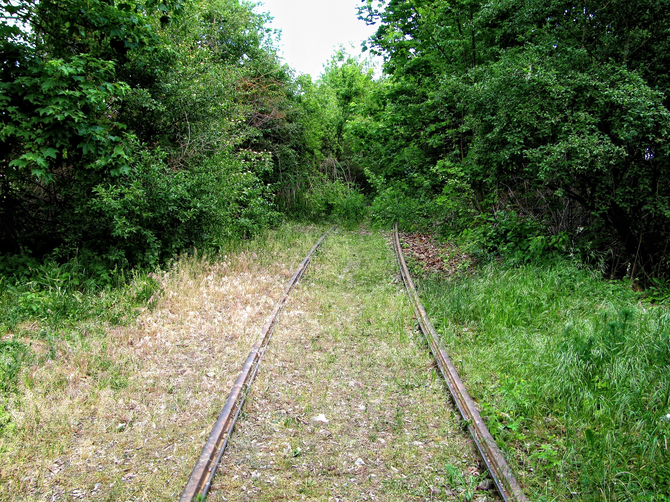 gray train rail
