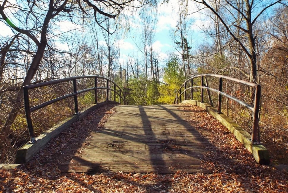 black and brown bridge during daytime preview