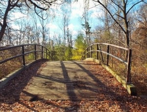 black and brown bridge during daytime thumbnail